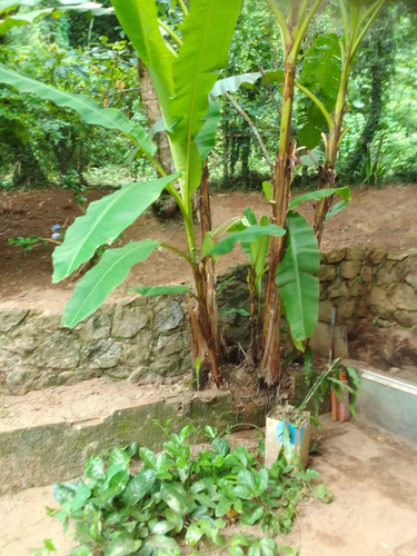 Sítio Com Terreno 30.000m2