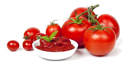 Polpa Tomate Puro 100% Hiper Concentrado Molho Extrato
