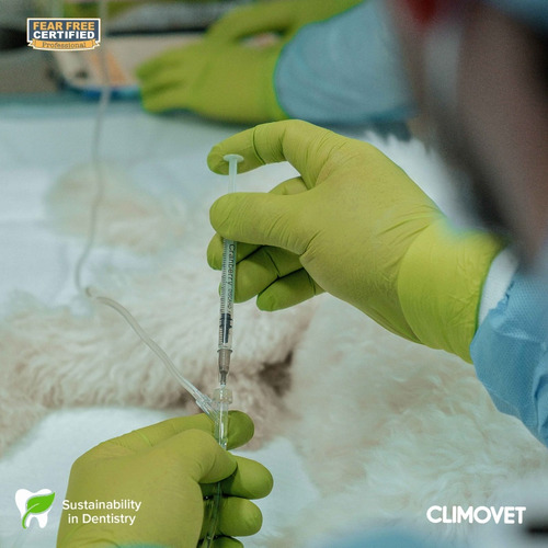 Servicio De Odontología Veterinaria