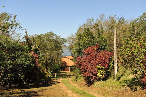 Imagem 5 de 8 de Sitio - Itapeva - Ref: 31569 - V-31566