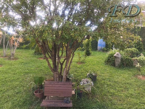 Imagem 3 de 22 de Chácaras À Venda Em Mairiporã/sp - Compre O Seu Chácaras Aqui! - 1464219