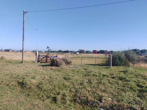 Lote En Paraje Pavon A Metros De Avenida Libertador
