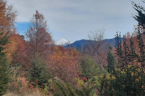 Venta Domos Y Cabaña Valle De Panqui