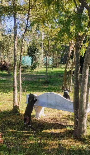 Quinta Con 5 Casas A Terminar -20.000 Metros Cuadrados