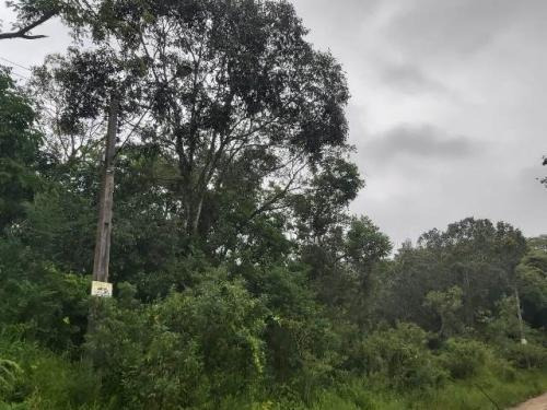 Imagem 3 de 8 de 7010 Kym - Terreno De Chácara - Parque Real- 4.000 M².