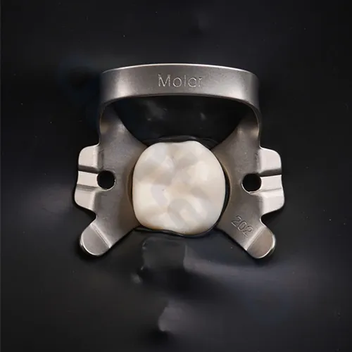 Goma Dique Dental Sanctuary Negra 6x6 X 36 Unidades