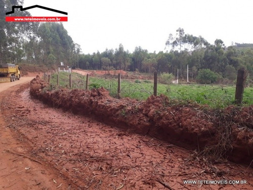 Imagem 3 de 3 de Terreno Em Pedra Bela- Sp - 56
