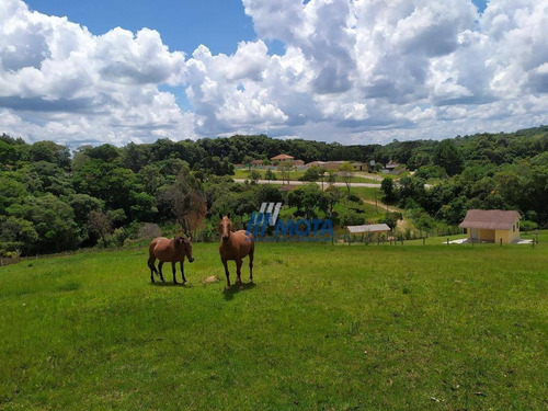 Chácara Com 5 Dormitórios À Venda, 45824 M² Por R$ 850.000 - Quatro Pinheiros - Mandirituba/paraná - Ch0173