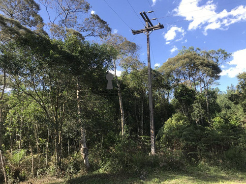 Chácara A Venda No Bairro Centro Em Bocaiúva Do Sul - Pr. - 486-1