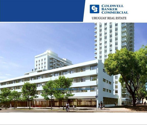 Local Comercial O Oficina - Barrio Sur - Alquiler