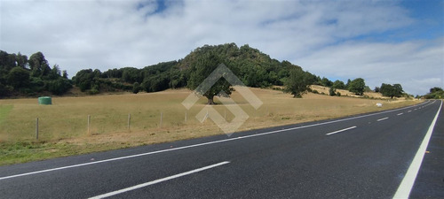 Sitio - 5.000 M2 Cada Uno - Cascadas - Puerto Octay