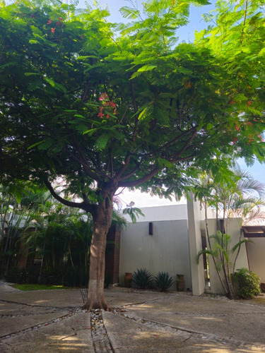 Residencia Estilo Barragan