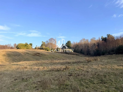 Cod40127 Agrícola En Venta En Cunco 15 Ha. Con Vertiente