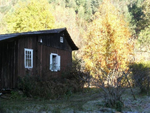 Sítio - Rancho Queimado - Sc - 1115