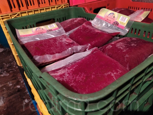 Imagen 7 de 10 de Negocio De Pulpa De Frutas, Fábrica En Venta