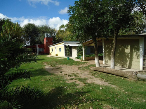 Imagen 4 de 18 de Venta De Chacra