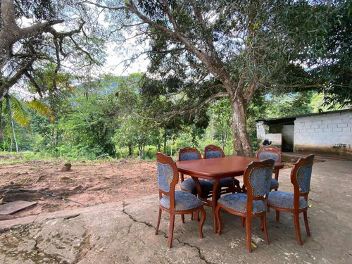 Imagen 3 de 13 de Finca En Venta San Juaquin De Navay