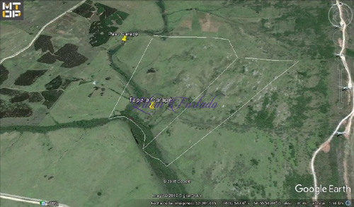 Imagen 14 de 18 de Campo 98 Has Con 2891 M2 En Carape Cuenta Con Costa De Arroyo.