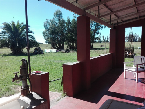 Imagen 8 de 10 de Chacra En Venta San Agustín, Balcarce
