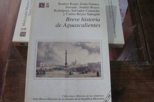 Breve Historia De Aguascalientes , Año 1995 , Beatriz Rojas