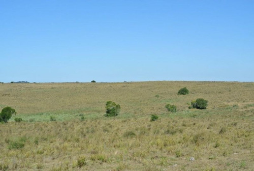 Mieres Campo De 22.8 Has Con Buenos Suelos Y Agua Garzon