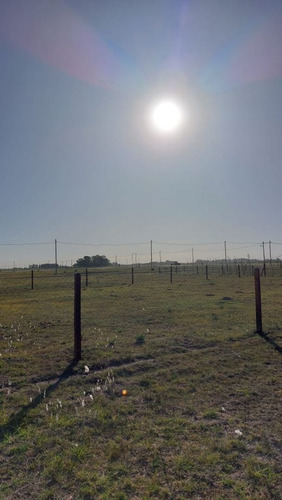 Imagen 19 de 24 de Lotes En San Vicente