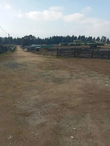 Terreno En Bosques De Quirilluca (173638)