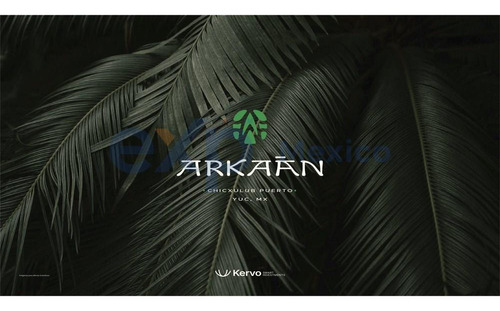 Chicxulub Yucatan Private Residential Arkaan