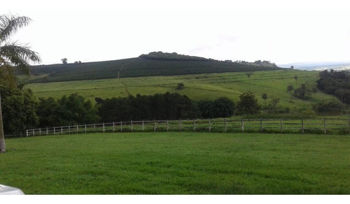 Imagem 1 de 3 de Fazenda Dupla Aptidão Para Venda Na Região De São Joao Da Boa Vista-sp, Com 54 Alqueires, 150 Mil Pés De Café, Estrutura Completa, Casa Sede, Rica Em - Fa00265 - 69535627
