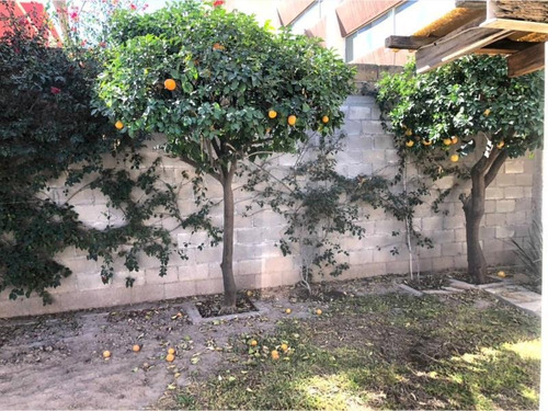 Imagen 7 de 12 de Casa Sola En Renta Residencial Campestre La Rosita