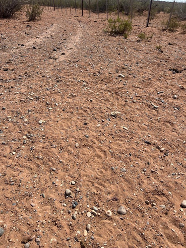 Venta Campo, Terreno, Senillosa, Confluencia, Neuquén, Añelo, Vaca Muerta, Ruta 22, Parque Industrial, Patagonia
