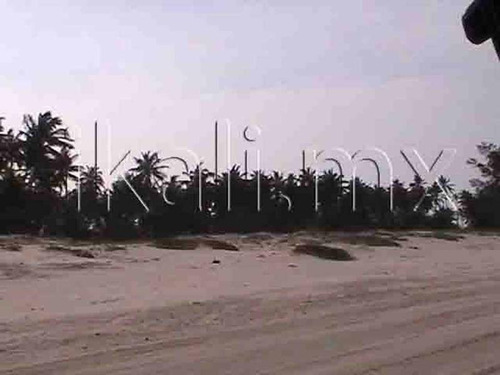 Venta Terreno Playa Hectáreas Tuxpan Veracruz