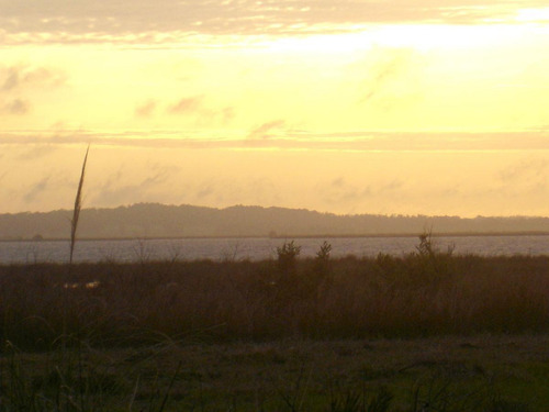 Terreno - José Ignacio