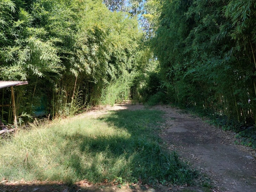Imagen 3 de 7 de Lote A La Venta En La Reja.