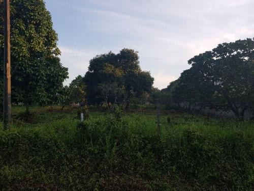 (ref;4320)terreno De Chácaras E Sítios -itanhaém/sp- Gaivota