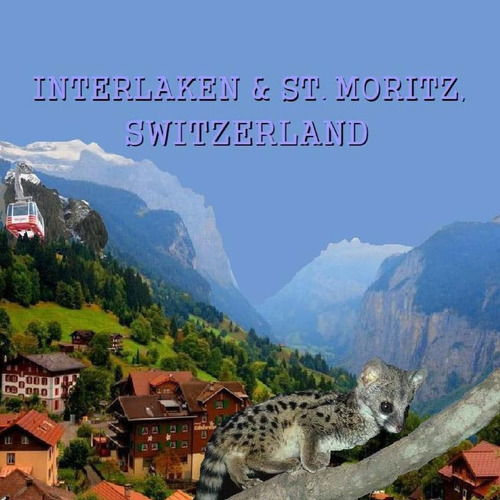 Libro: Interlaken And St. Moritz, Switzerland