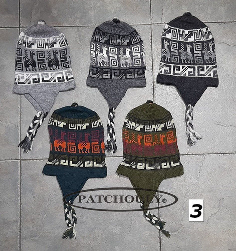 Imagen 4 de 8 de Gorro Coya Chullo Lana De Alpaca Con Orejeras Andino Colores