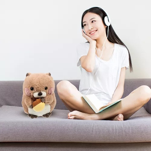 Marmota, Bichos De Pelúcia, Meninas, Pequeno E Fofo, Bebê 1
