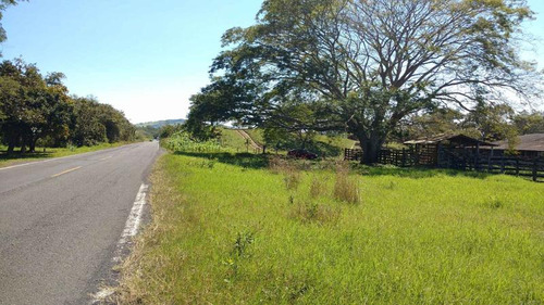 Vendo Rancho Ganadero 223 Hectáreas Temapache Veracruz