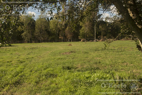 Imagen 5 de 20 de Barrio Abierto - Las Moras De Hudson