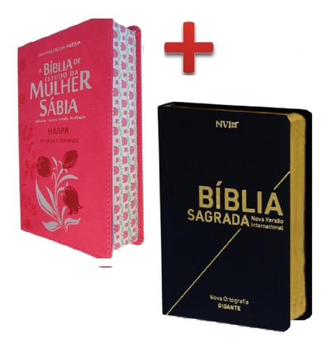 Bíblia De Estudo Da Mulher Sábia  + Bíblia Letra Gigante Nvi