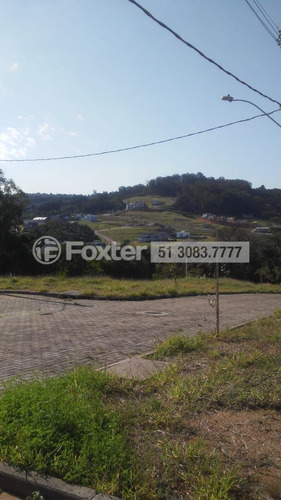 Imagem 7 de 21 de Terreno, 229.5 M², Campo Novo - 190370