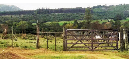 Fracción De Campo Con Costa De Arroyo Y Corriente Eléctrica