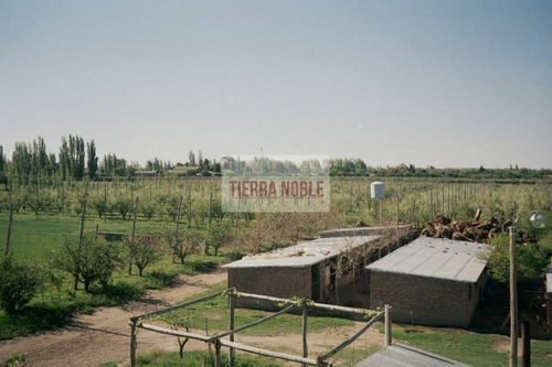 Vendo Finca Con Galpon En Rama Caida