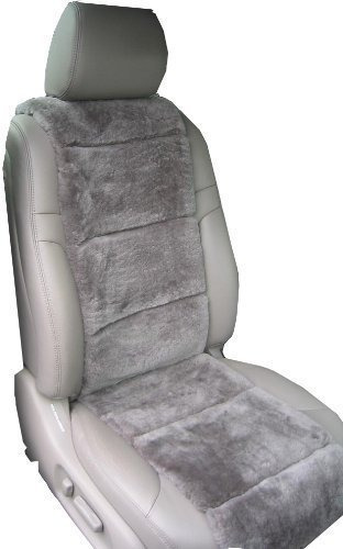 Aegis Estuche 701003st Asiento Oveja Inserto Acero Gris