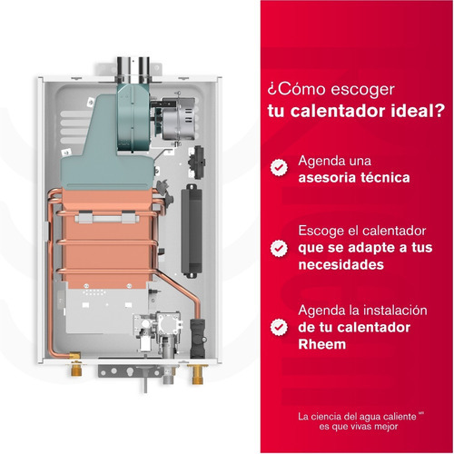Calentador De Agua 10lt Gas Propano Tiro Forzado Dig Rheem Color Blanco Tipo De Gas Glp 120v