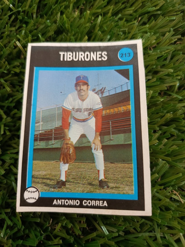 1974 Béisbol Profesional Venezolano Antonio Correa #213