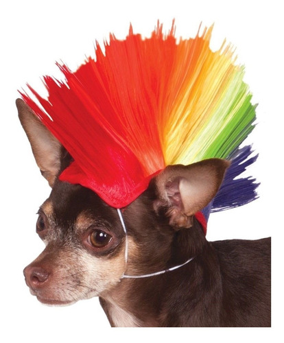 Animal Mascota Perro Gato Arco Iris Mohawk Peluca Orgullo