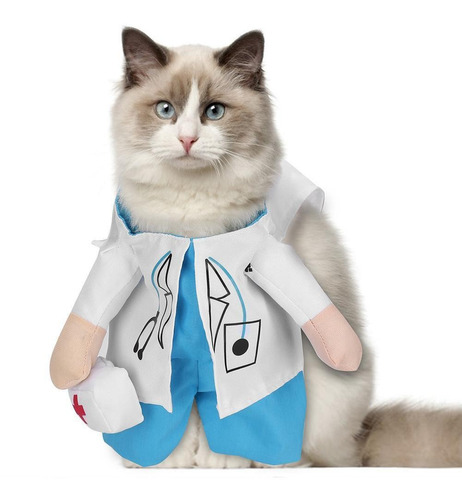Disfraz De Médico Con Forma De Gato Pequeño Y Divertido