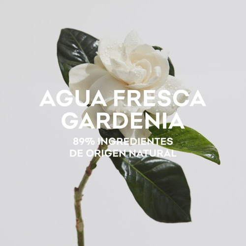 Imagen 4 de 4 de Set Perfume Adolfo Dominguez Gardenia Edt 120ml+ Bl75ml